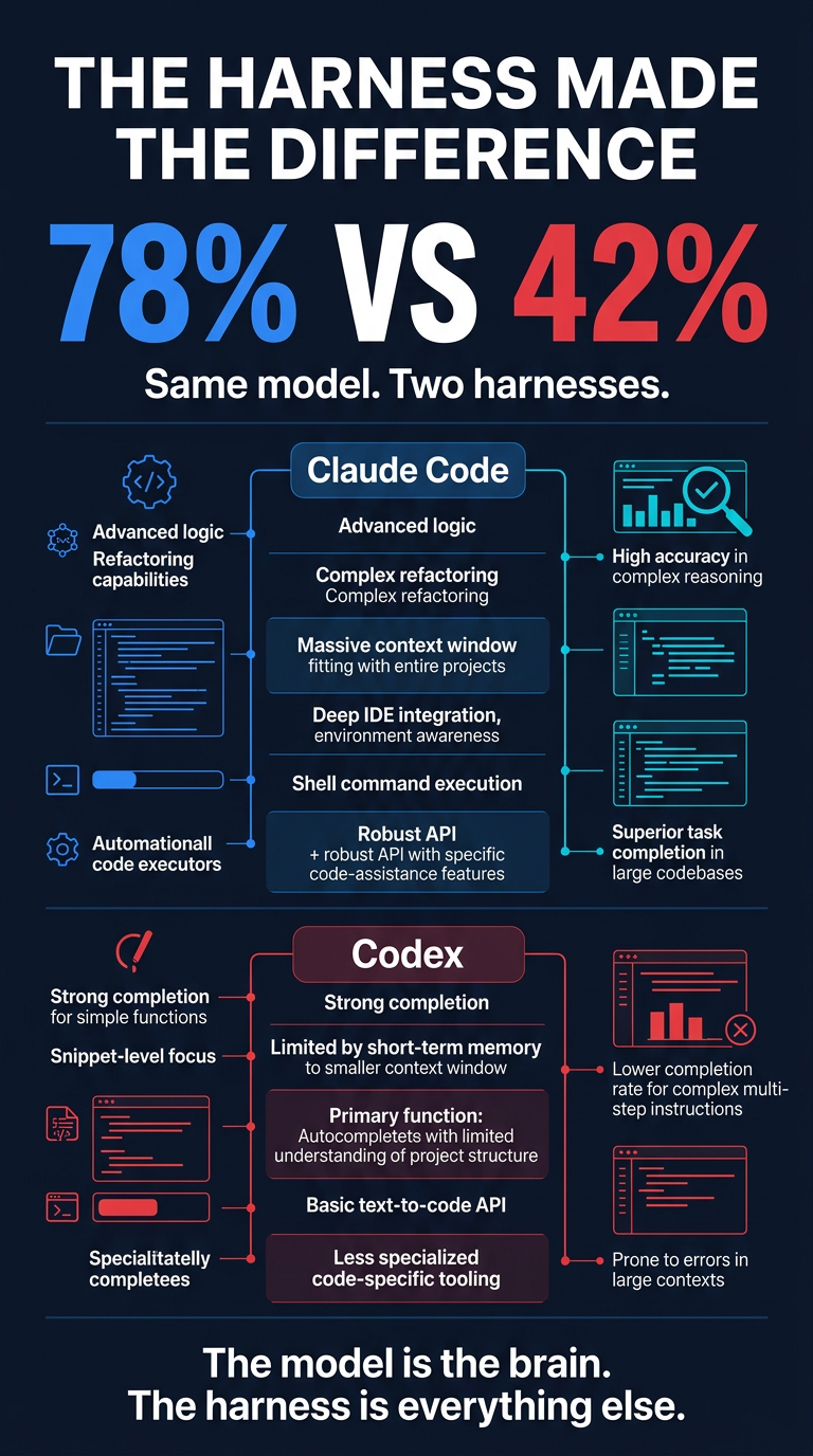 Portrait Infographic